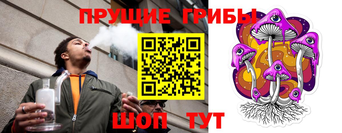 Дагестанские Огни  Галлюциногенные грибы Cubensis  Псилоцибиновые грибы мицелий  Вход с VPN 