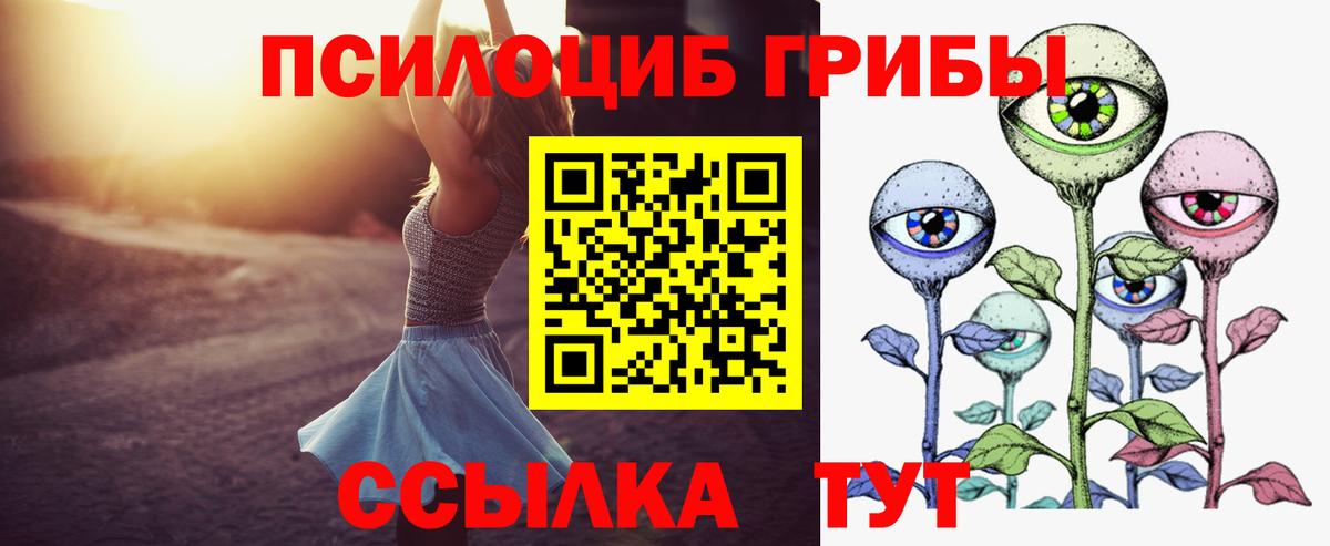 Галлюциногенные грибы Psilocybine cubensis Дагестанские Огни